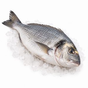 Orada