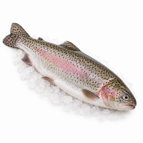 Kalifornijska pastrmka