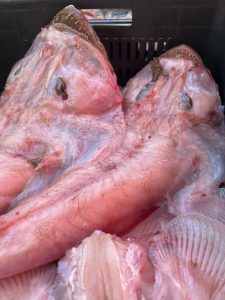 Морской чёрт (очищенный)